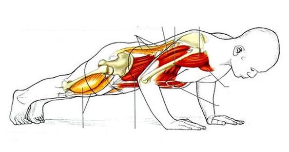 Push-Ups fir Gewiichtsverloscht